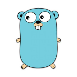 Formation Go / Golang – Le langage moderne issu de Google